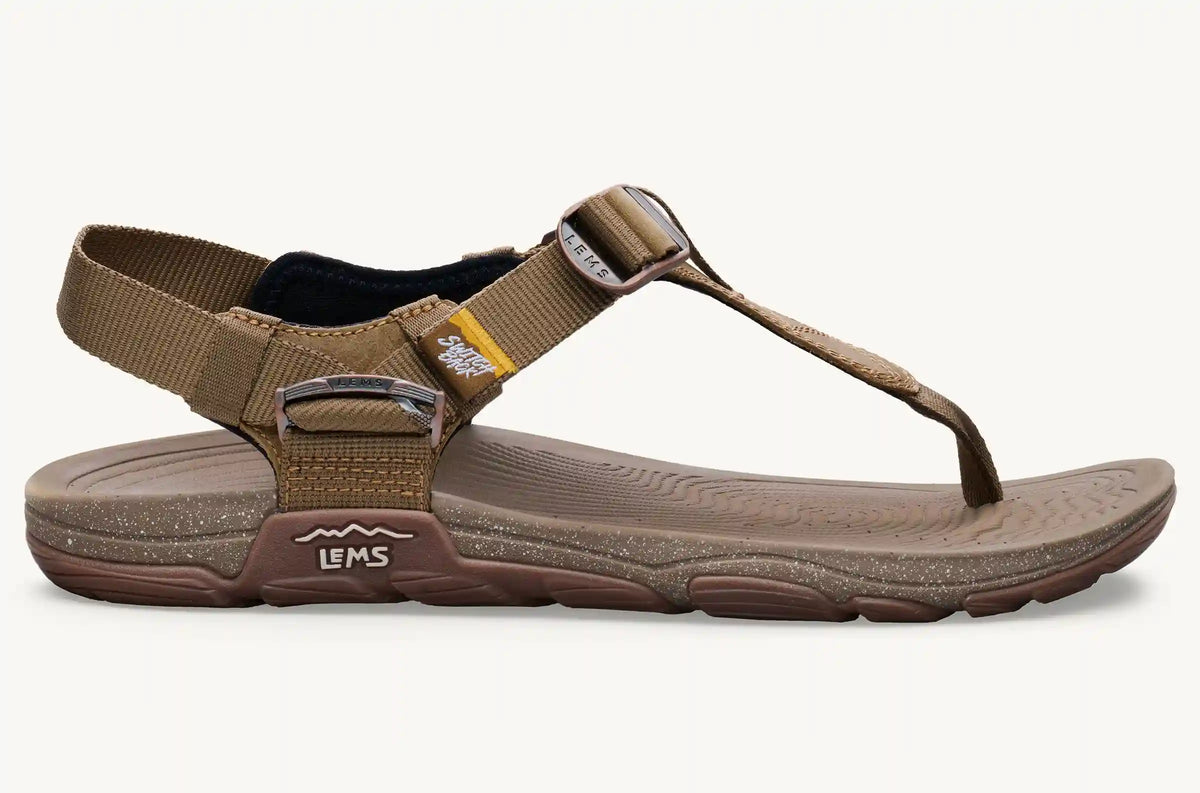 Men's Switchback Sandal